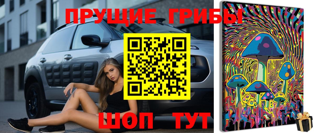 купить закладку  Вход с VPN  Псилоцибиновые грибы Cubensis  Кинешма  Псилоцибиновые грибы мухоморы 